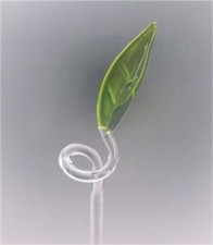 Orchideenstab orchideenstäbe - orchideenstab,