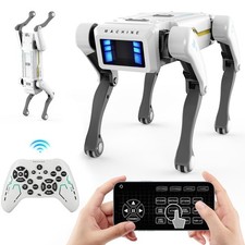 Roboter Hund Ferngesteuert