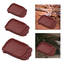 Reptilienrampenfutterschüssel