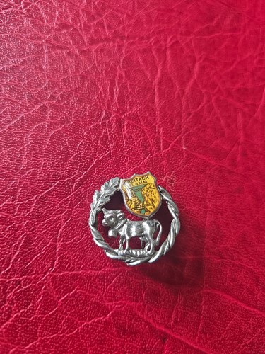 Alte anstecknadel - ,
