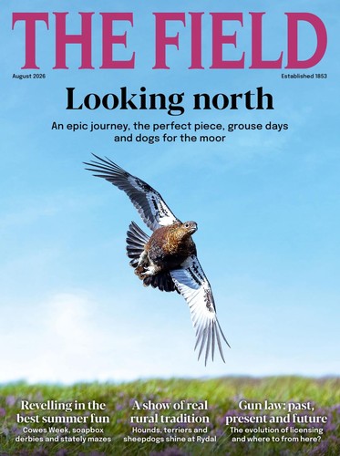 The field magazine - the,