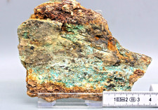 Malachit, Weißer Hirsch, Schneeberg, 200 g, 10 cm (10-K)