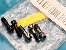 EXTRALITE Titan-Schrauben M4 x 12mm T15,  5 Stück  schwarz und titanfarben