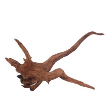 XL Driftwood Flußwurzel