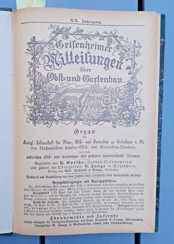 Antikes buch geisenheimer - antikes,