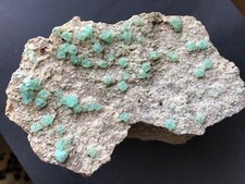 Fluorit XX, Oktaeder,  grün, El Papiol, Spanien