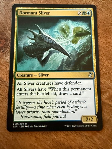 Dormant sliver schlummernder - sliver,