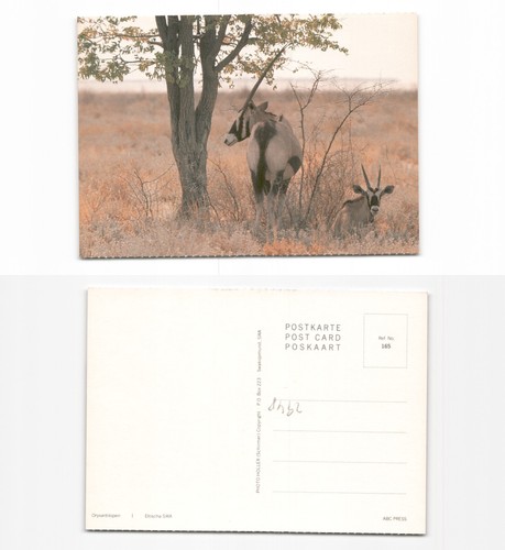 (k2948)