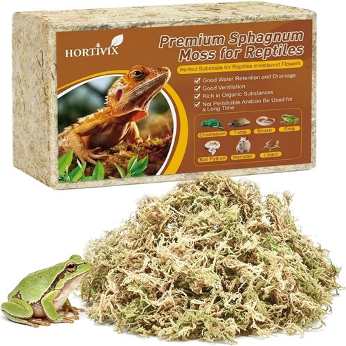 400g natur sphagnum moos - sphagnum,