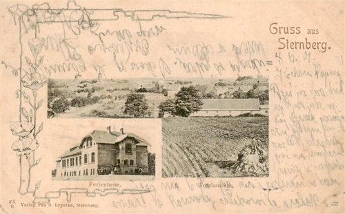 Sternberg neumark - sternberg,