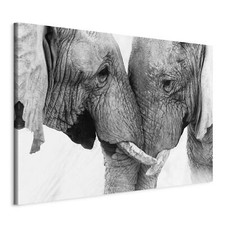 Elefanten Tiere Grau Modern