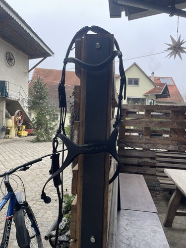 Trense warmblut schwarz - trense,