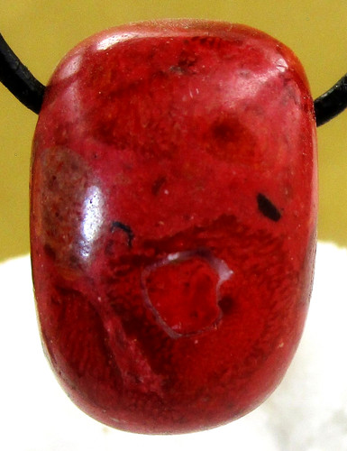 Schaumkoralle rot behandelt - schaumkoralle,
