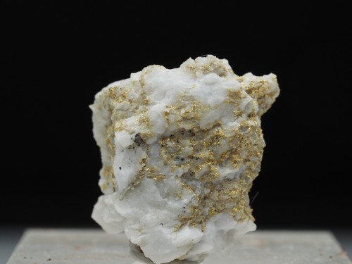 Gold ged - mina, roata