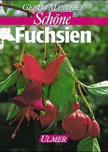 Fuchsien von manthey - manthey,, |