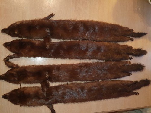 Nerzschal nerzkragen - nerzschal, /