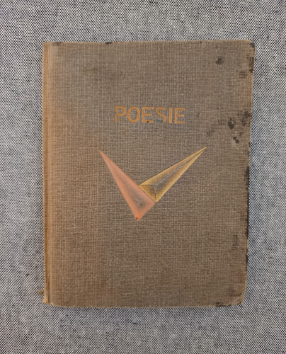 Schönes altes poesiealbum - altes,