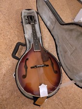 Mandoline Washburn, mit Tonabnehmer von Shadow + Koffer, Gurt, Neue Saiten