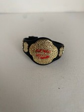 Wwe Ecw Schwer Meisterschaft