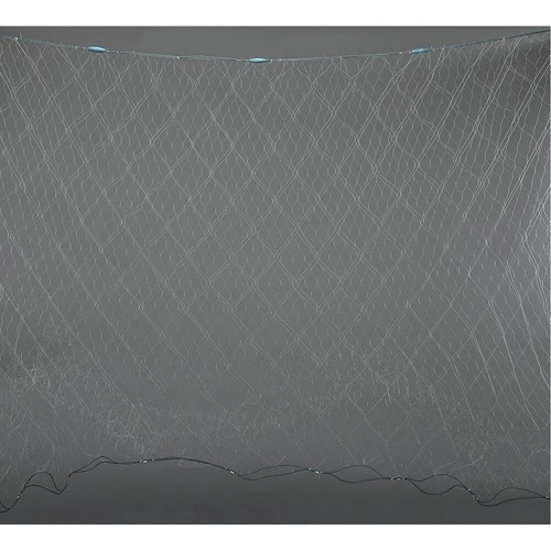 Fischernetz stellnetz blatt - fischernetz,