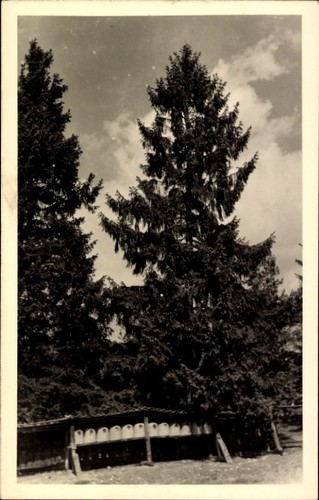 Lutterloh südheide - ak,