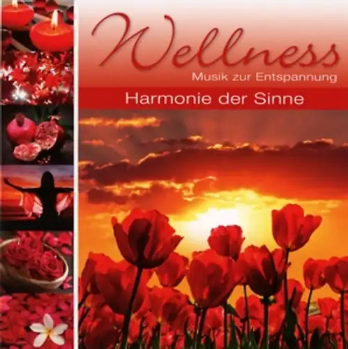 Various wellness harmonie - various, wellness-harmonie