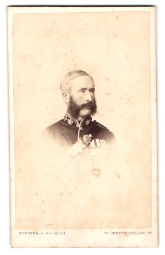 Fotografie forster haskoll - forster,