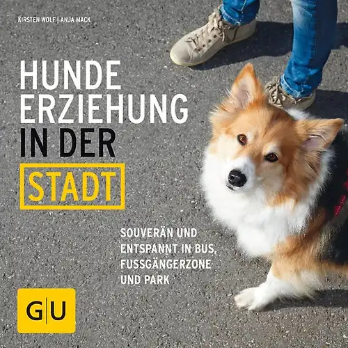 Hundeerziehung der stadt - in,