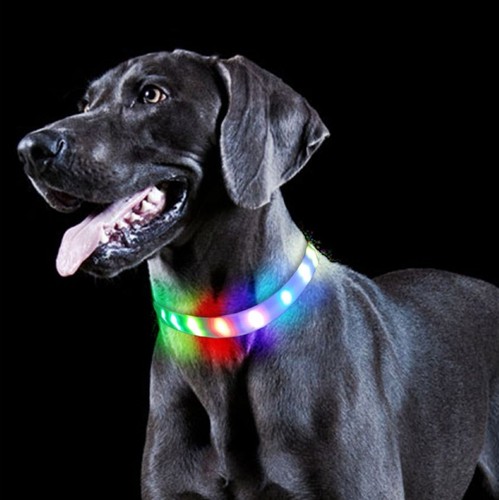 Led hundehalsband - led,