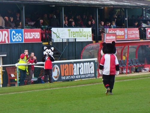 Foto 6x4 woking - foto,