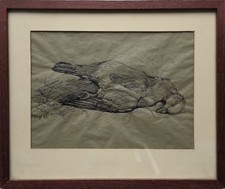 Zeichnung Toter Vogel Natur