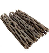 4x große Cholla Kakteen Holz