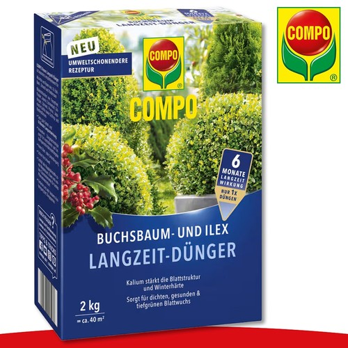 Compo buchsbaum und ilex - buchsbaum-,
