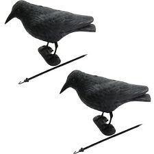 2x Vogelabwehr Rabe
