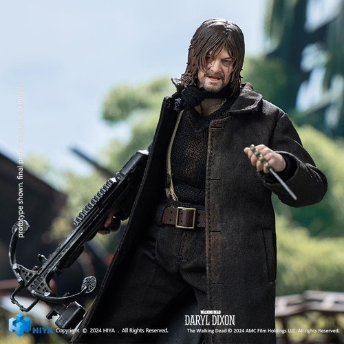 Walking dead daryl dixon 12 - walking,