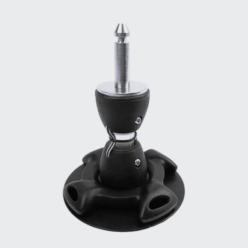 Ascan base tendon - base,
