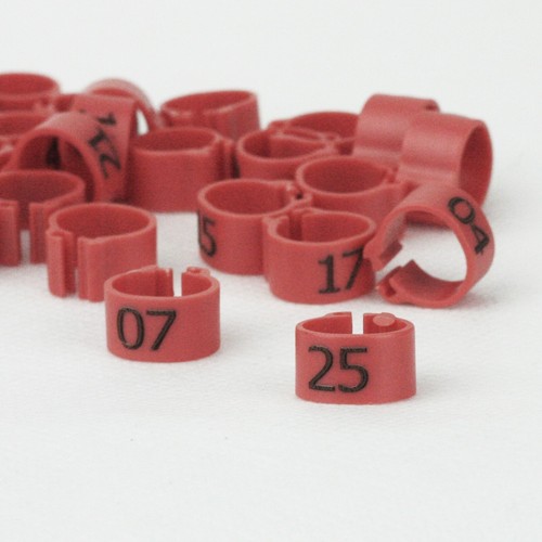 25x geflügelringe clipsringe - 25x,