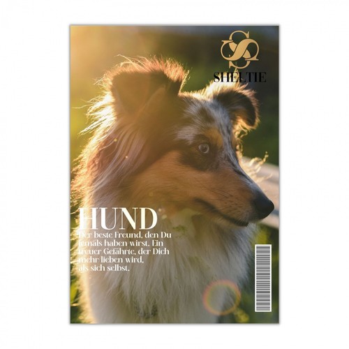 Sheltie schild dog hund - schild,
