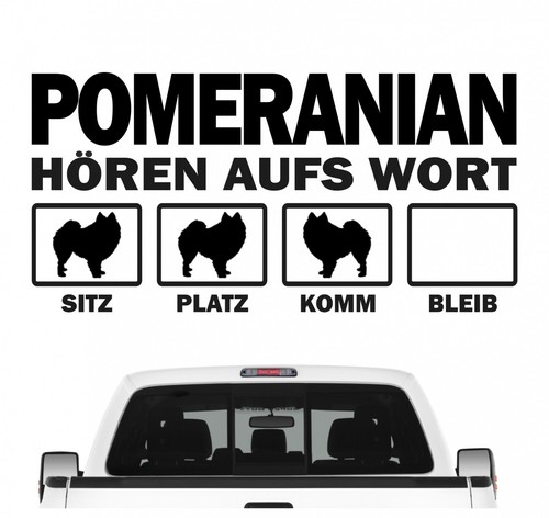Pomeranian spitz hört aufs - pomeranian,