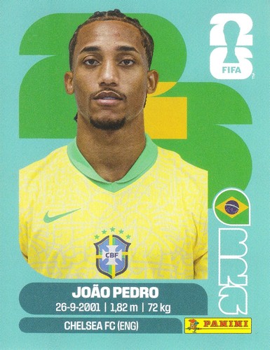 João pedro stürmer - pedro,