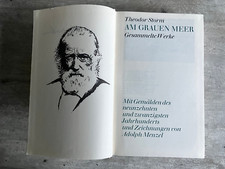 Theodor Storm - Am grauen Meer