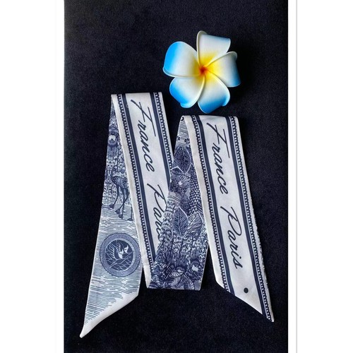 Schal tuch tascheband - schal,