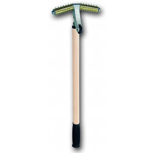 Friess stachelwalze - friess,