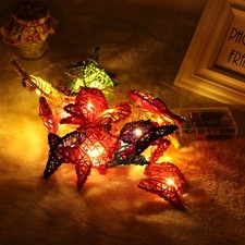 2,5-Meter-LED bunten Fisch