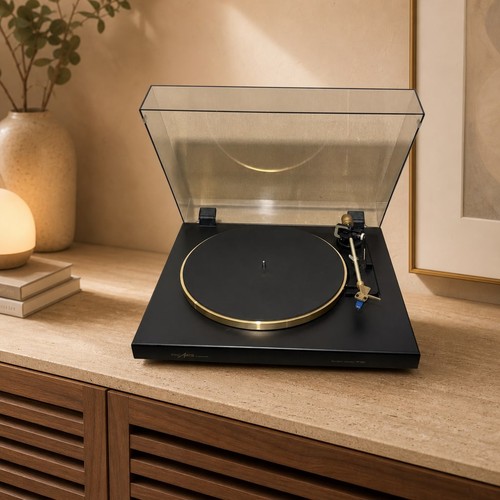 Dual grundig finearts tt - dual, /