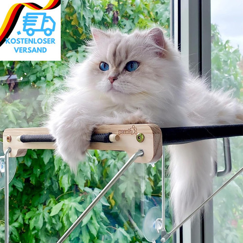Katzen fensterplätze bis 15 - (bis,