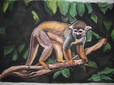 Bild Pastell Origin. Affe Totenkopfäffchen A3 Tier Regenwald Südamerike Amazonas