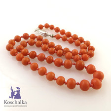 Vintage Korallen Koralle