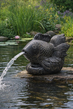 Koi Fisch Springbrunnen –