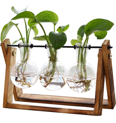 Plant terrarium with wooden - terrarium,